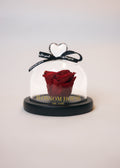enchanted rose liten