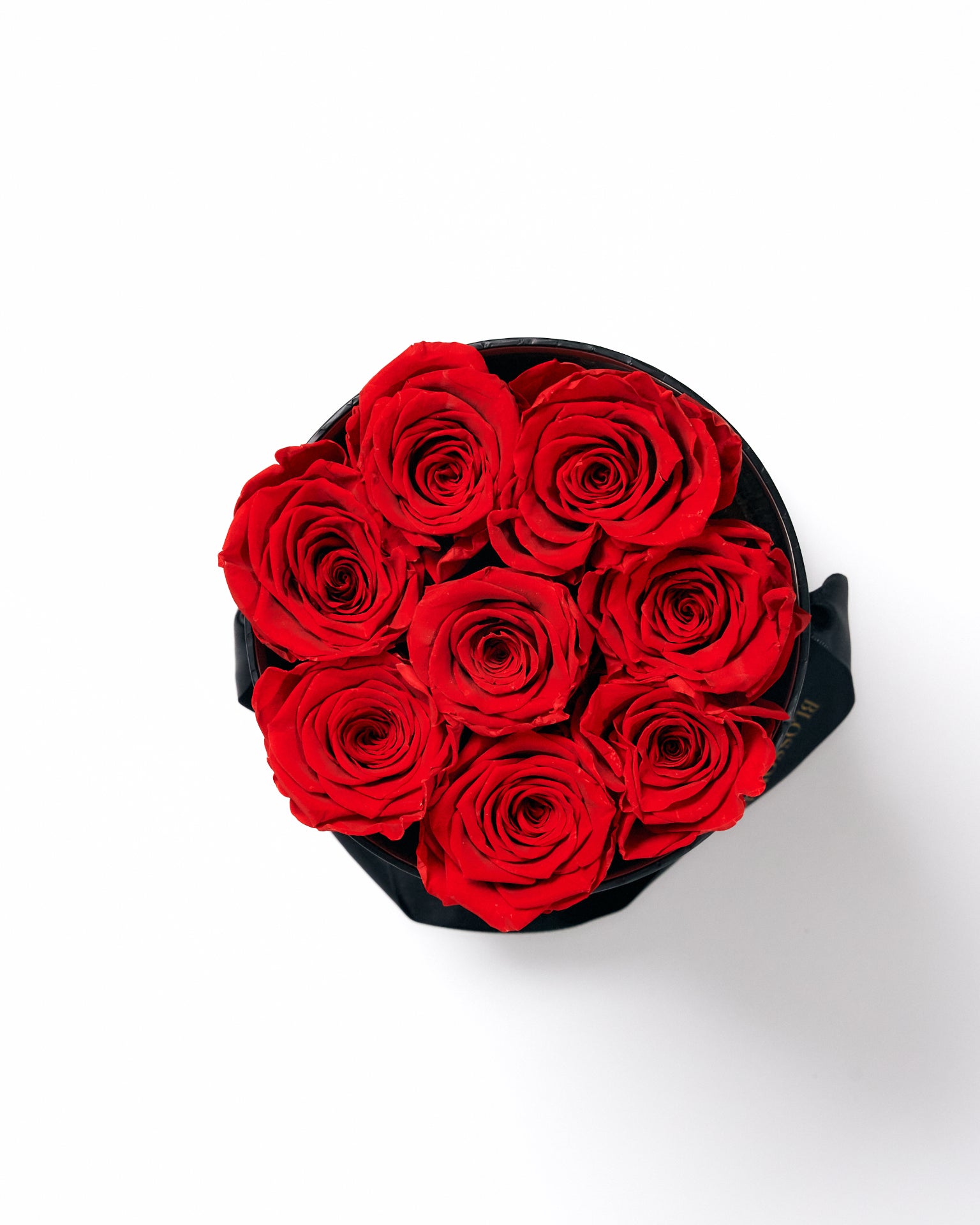 Florens Evighetsrosor